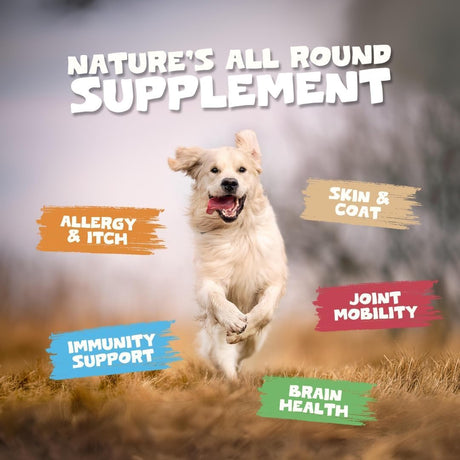 PETS PUREST - Pets Purest Salmon Oil for Dogs & Cats 32 Fl.Oz. - The Red Vitamin MX - Aceite De Pescado Para Perros - {{ shop.shopifyCountryName }}