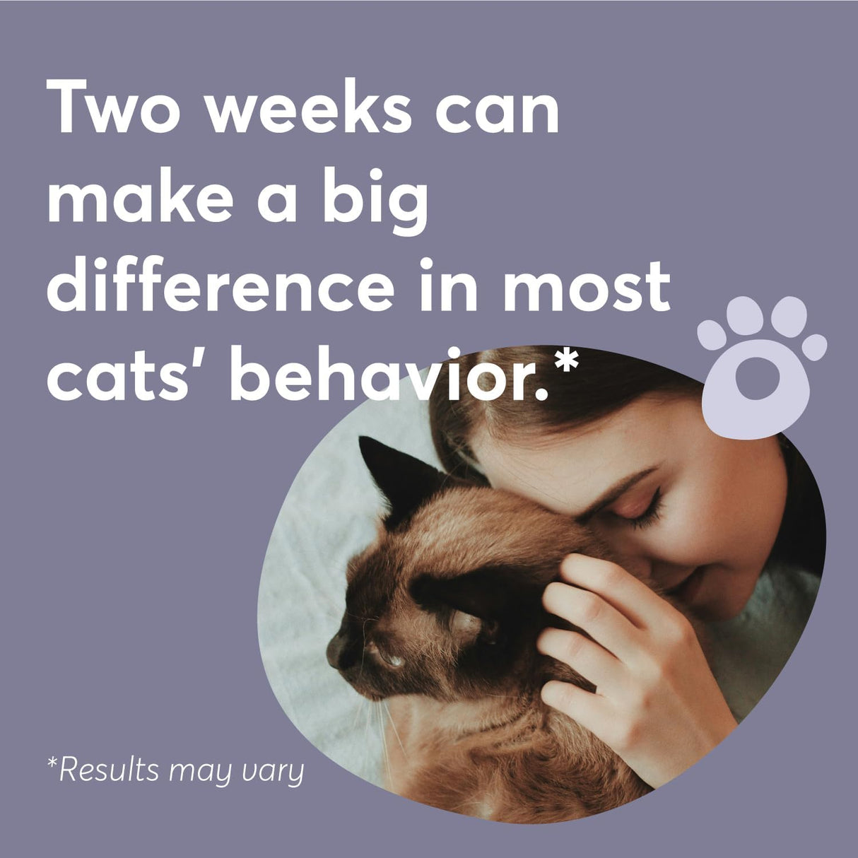 BUDDYJOY Cat Calming Diffuser Refills 3 Refills