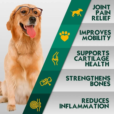 PETRIMINS - PetriMins Advanced Hip & Joint Supplement for Dogs Chicken 90 Masticables - The Red Vitamin MX - Cuidado De Cadera Y Articulaciones Para Perros - {{ shop.shopifyCountryName }}