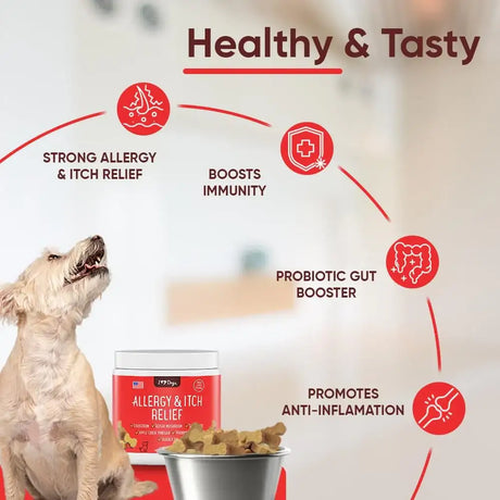 IHEARTDOGS - iHeartDogs Allergy & Itch Relief for Dogs 90 Masticables - The Red Vitamin MX - Remedios Para La Picazón De Perros - {{ shop.shopifyCountryName }}