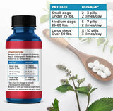 BESTLIFE4PETS - BestLife4Pets Dog UTI Treatment 400 Tabletas 2 Pack - The Red Vitamin MX - Salud De Tracto Urinario Para Perros - {{ shop.shopifyCountryName }}