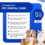 LIQUIDHEALTH - LIQUIDHEALTH Pet Dental Care Water Additive for Dogs & Cats 473Ml. - The Red Vitamin MX - Cuidado Dental Para Perros - {{ shop.shopifyCountryName }}