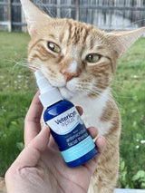 Vetericyn Plus Feline Facial Therapy 2 Fl.Oz.