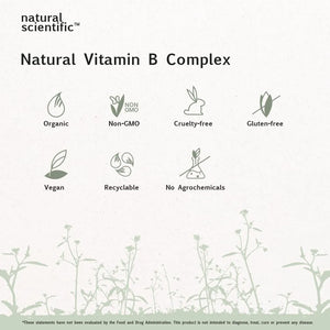 NATURAL SCIENTIFIC - NATURAL SCIENTIFIC Organic Vitamin B Complex 30 Capsulas - The Red Vitamin MX - Suplementos Alimenticios - {{ shop.shopifyCountryName }}