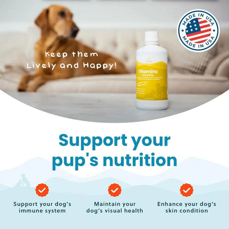 PARAMOUNT PET HEALTH - Paramount Pet Health Liquid Multivitamin for Dogs with Probiotics 946Ml. - The Red Vitamin MX - Multivitamínicos Para Perros - {{ shop.shopifyCountryName }}