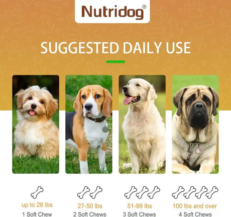 NUTRIDOG - Nutridog Hip and Joint Supplement for Dogs Duck 120 Masticables - The Red Vitamin MX - Cuidado De Cadera Y Articulaciones Para Perros - {{ shop.shopifyCountryName }}