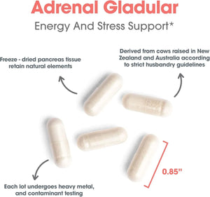 ALLERGY RESEARCH GROUP - Allergy Research Group Adrenal Support 150 Capsulas - The Red Vitamin MX - Suplementos Alimenticios - {{ shop.shopifyCountryName }}