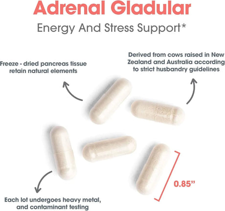 ALLERGY RESEARCH GROUP - Allergy Research Group Adrenal Support 150 Capsulas - The Red Vitamin MX - Suplementos Alimenticios - {{ shop.shopifyCountryName }}