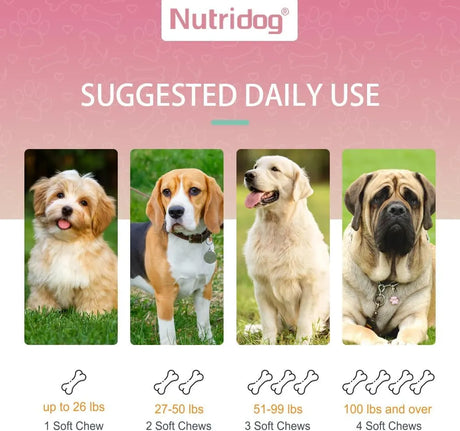 NUTRIDOG - Nutridog Multivitamin Chews for Dogs 30 Masticables - The Red Vitamin MX - Multivitamínicos Para Perros - {{ shop.shopifyCountryName }}