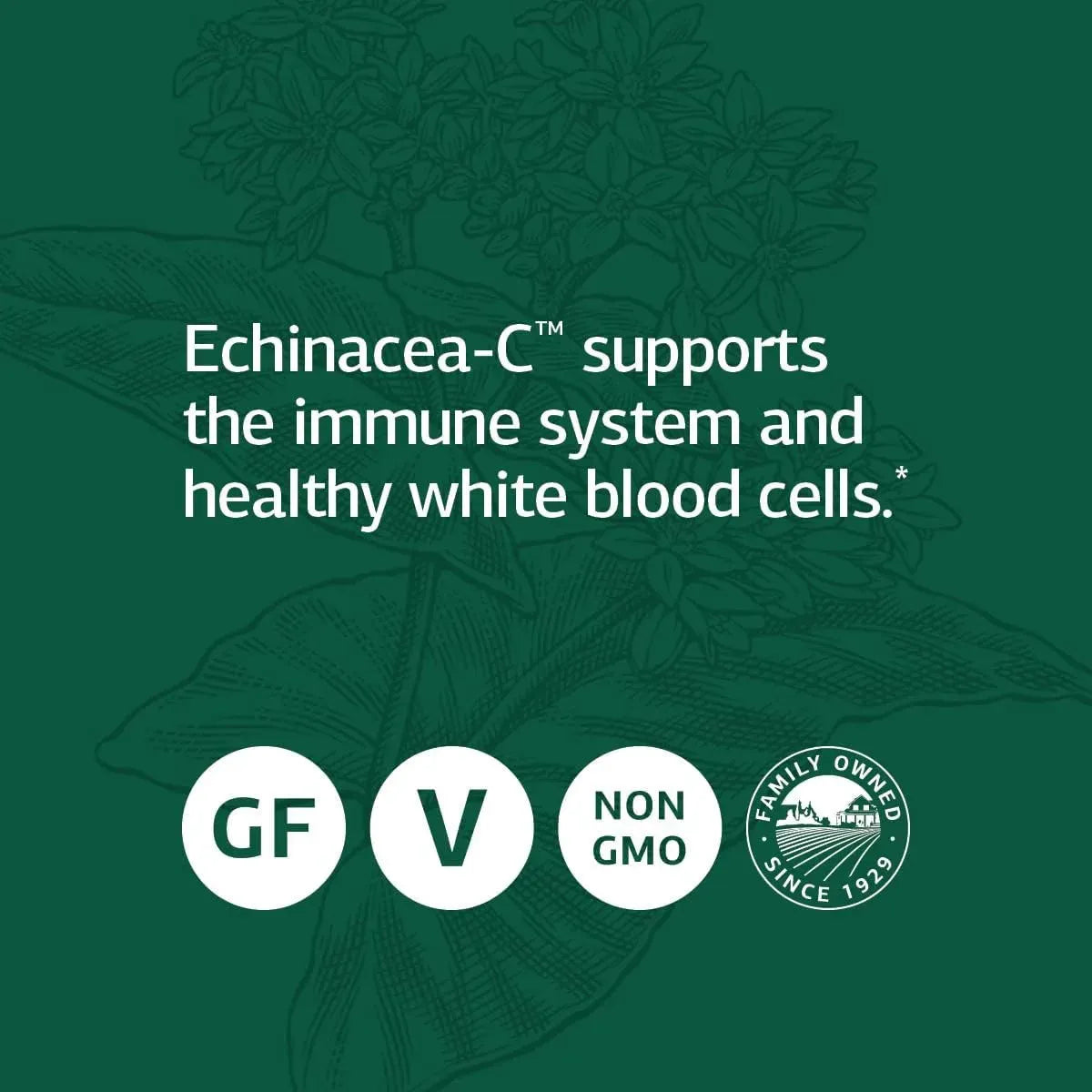 STANDARD PROCESS - Standard Process Echinacea-C 90 Tabletas - The Red Vitamin MX - Suplementos Alimenticios - {{ shop.shopifyCountryName }}