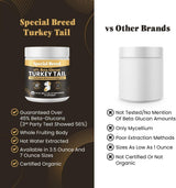 SPECIAL BREED - Special Breed Organic Turkey Tail Mushroom for Dogs 200Gr. - The Red Vitamin MX - Suplementos Herbales Para Perros - {{ shop.shopifyCountryName }}