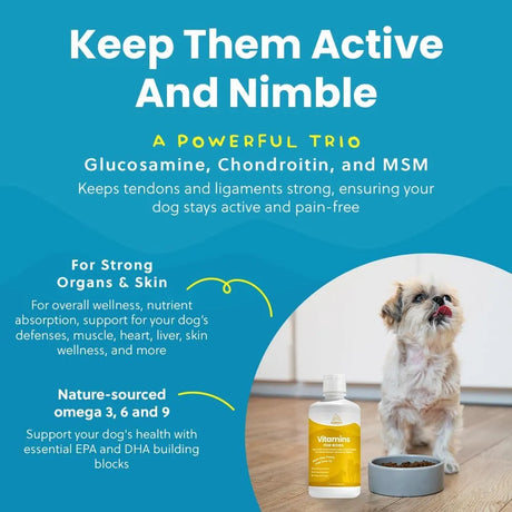 PARAMOUNT PET HEALTH - Paramount Pet Health Liquid Multivitamin for Dogs with Probiotics 946Ml. - The Red Vitamin MX - Multivitamínicos Para Perros - {{ shop.shopifyCountryName }}