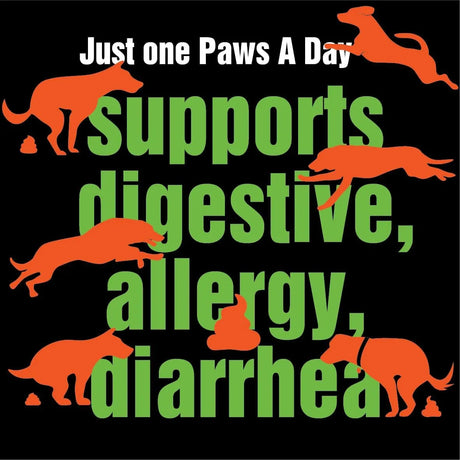 PAWS A DAY - Paws A Day Army Soldier Owned Dog Probiotics 60 Masticables - The Red Vitamin MX - Probióticos Para Perros - {{ shop.shopifyCountryName }}
