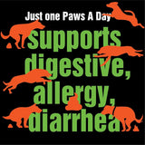 PAWS A DAY - Paws A Day Army Soldier Owned Dog Probiotics 60 Masticables 3 Pack - The Red Vitamin MX - Probióticos Para Perros - {{ shop.shopifyCountryName }}