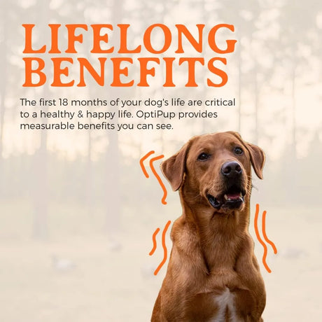 ALPHA DOG NUTRITION - Alpha Dog Nutrition OptiPup All-in-1 Puppy Multivitamin 60 Servicios 304Gr. - The Red Vitamin MX - Multivitamínicos Para Perros - {{ shop.shopifyCountryName }}