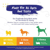 PUPGRADE - PupGrade Daily Multivitamin for Dogs 30 Masticables - The Red Vitamin MX - Multivitamínicos Para Perros - {{ shop.shopifyCountryName }}