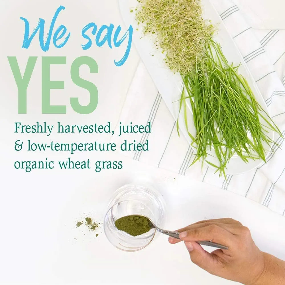 GARDEN OF LIFE - Garden of Life Raw 100% Organic Perfect Food USA Wheat Grass Juice 60 Servicios 240Gr. - The Red Vitamin MX - Suplementos Alimenticios - {{ shop.shopifyCountryName }}