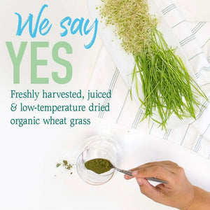 GARDEN OF LIFE - Garden of Life Raw 100% Organic Perfect Food USA Wheat Grass Juice 60 Servicios 240Gr. - The Red Vitamin MX - Suplementos Alimenticios - {{ shop.shopifyCountryName }}