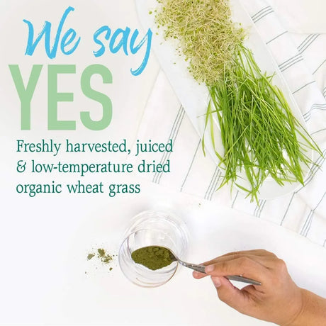 GARDEN OF LIFE - Garden of Life Raw 100% Organic Perfect Food USA Wheat Grass Juice 60 Servicios 240Gr. - The Red Vitamin MX - Suplementos Alimenticios - {{ shop.shopifyCountryName }}
