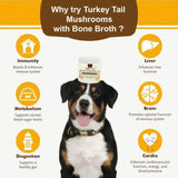 IHEARTDOGS - iHeartDogs Turkey Tail Mushroom for Dogs 81Gr. - The Red Vitamin MX - Suplementos Herbales Para Perros - {{ shop.shopifyCountryName }}