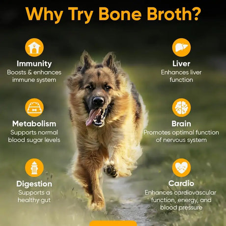 IHEARTDOGS - iHeartDogs Bone Broth & Mushroom Gold Powder 81.9Gr. - The Red Vitamin MX - Suplementos Herbales Para Perros - {{ shop.shopifyCountryName }}