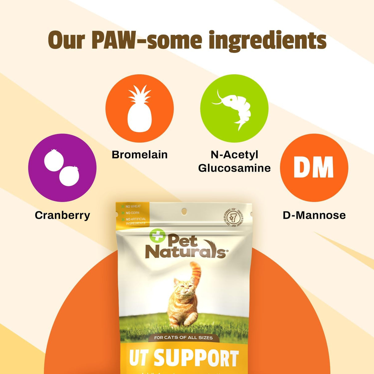 Pet Naturals UT Support Urinary Tract Supplement for Cats 60 Masticables