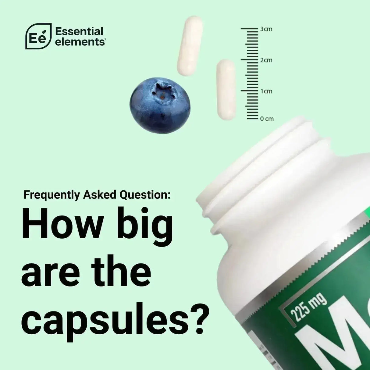 ESSENTIAL ELEMENTS - Essential Elements Magnesium & Zinc with Vitamin D3 180 Capsulas - The Red Vitamin MX - Suplementos Alimenticios - {{ shop.shopifyCountryName }}