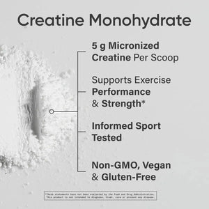 SPORTS RESEARCH - Sports Research Creatine Monohydrate 300Gr. - The Red Vitamin MX - Suplementos Alimenticios - {{ shop.shopifyCountryName }}