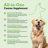 NatrixOne Omega 3 for Dogs 16 Fl.Oz.