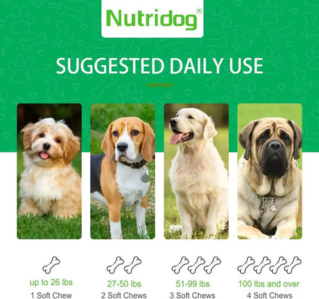 NUTRIDOG - Nutridog Cranberry Supplement for Dogs 120 Masticables - The Red Vitamin MX - Salud De Tracto Urinario Para Perros - {{ shop.shopifyCountryName }}