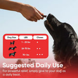 IHEARTDOGS - iHeartDogs Extra Strength Urinary, Bladder, & Kidney Support for Dogs 90 Masticables - The Red Vitamin MX - Salud De Tracto Urinario Para Perros - {{ shop.shopifyCountryName }}