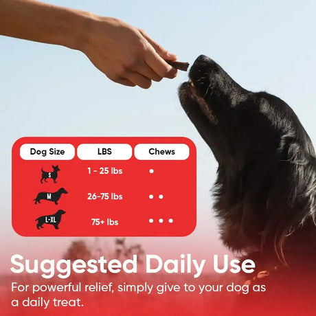 IHEARTDOGS - iHeartDogs Extra Strength Urinary, Bladder, & Kidney Support for Dogs 90 Masticables - The Red Vitamin MX - Salud De Tracto Urinario Para Perros - {{ shop.shopifyCountryName }}