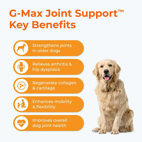 PAWLABS - Pawlabs G-Max Joint Support for Dogs Duck Flavor 60 Masticables - The Red Vitamin MX - Cuidado De Cadera Y Articulaciones Para Perros - {{ shop.shopifyCountryName }}