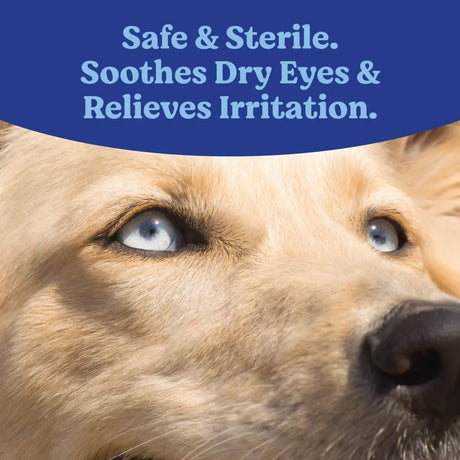 ANGELS' EYES - ANGELS' EYES Multi-Purpose Sterile Eye Lubricant 3.5Gr. - The Red Vitamin MX - Cuidado De Los Ojos De Los Perros - {{ shop.shopifyCountryName }}