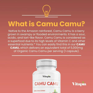 VITAPIA - Vitapia Camu Camu Extract 5,000Mg. 180 Capsulas - The Red Vitamin MX - Suplementos Alimenticios - {{ shop.shopifyCountryName }}