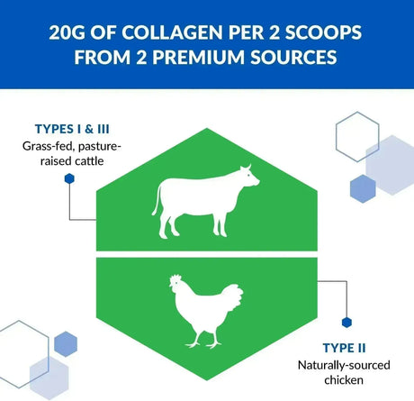 BIOTRUST - BioTrust Tri Collagen Powder 202Gr. 2 Pack - The Red Vitamin MX - Suplementos Alimenticios - {{ shop.shopifyCountryName }}