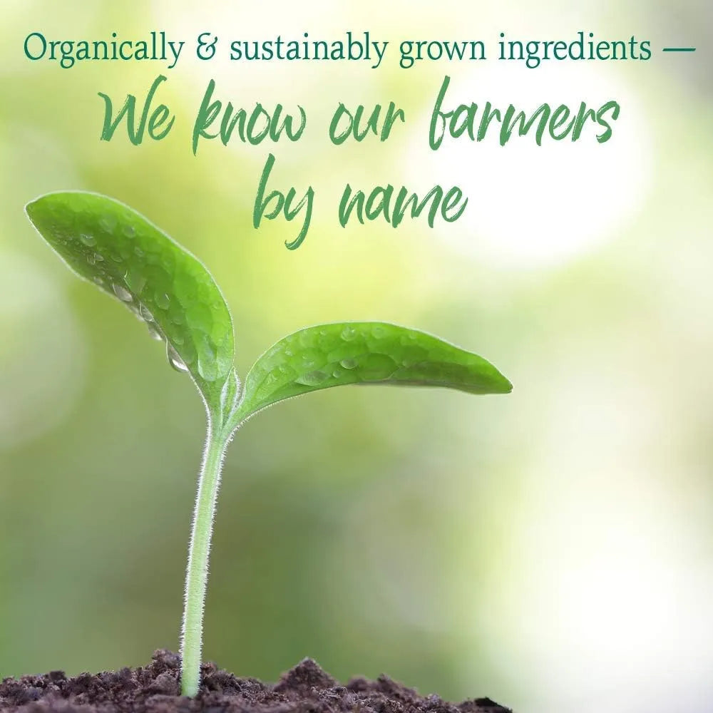 GARDEN OF LIFE - Garden of Life Raw Organic Perfect Food Green Superfood Juiced Greens Powder 30 Servicios Apple Flavor 231Gr. - The Red Vitamin MX - Suplementos Alimenticios - {{ shop.shopifyCountryName }}