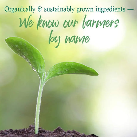 GARDEN OF LIFE - Garden of Life Raw Organic Perfect Food Green Superfood Juiced Greens Powder 30 Servicios Apple Flavor 231Gr. - The Red Vitamin MX - Suplementos Alimenticios - {{ shop.shopifyCountryName }}