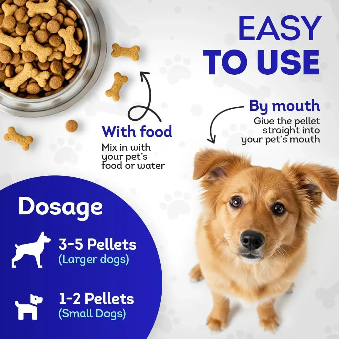 HEALTHYANIMALS4EVER - HealthyAnimals4Ever Mange Relief for Dogs 300 Tabletas - The Red Vitamin MX - Remedios Para La Picazón De Perros - {{ shop.shopifyCountryName }}