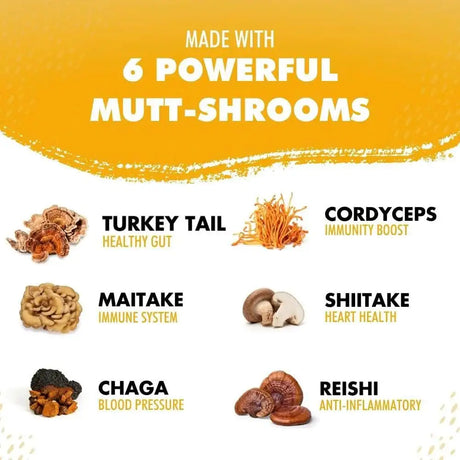 IHEARTDOGS - iHeartDogs Turkey Tail Mushroom for Dogs 81Gr. - The Red Vitamin MX - Suplementos Herbales Para Perros - {{ shop.shopifyCountryName }}