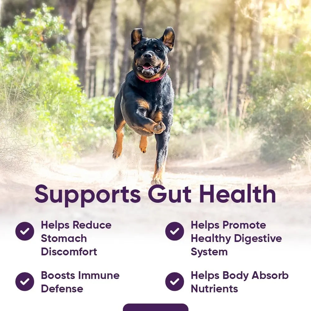 IHEARTDOGS - iHeartDogs 3-in-1 Probiotic for Dogs 90 Masticables - The Red Vitamin MX - Probióticos Para Perros - {{ shop.shopifyCountryName }}