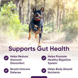 IHEARTDOGS - iHeartDogs 3-in-1 Probiotic for Dogs 90 Masticables - The Red Vitamin MX - Probióticos Para Perros - {{ shop.shopifyCountryName }}