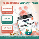 DR FOSTER - DR FOSTER Dog Multivitamin Chicken Flavor 180 Masticables - The Red Vitamin MX - Multivitamínicos Para Perros - {{ shop.shopifyCountryName }}