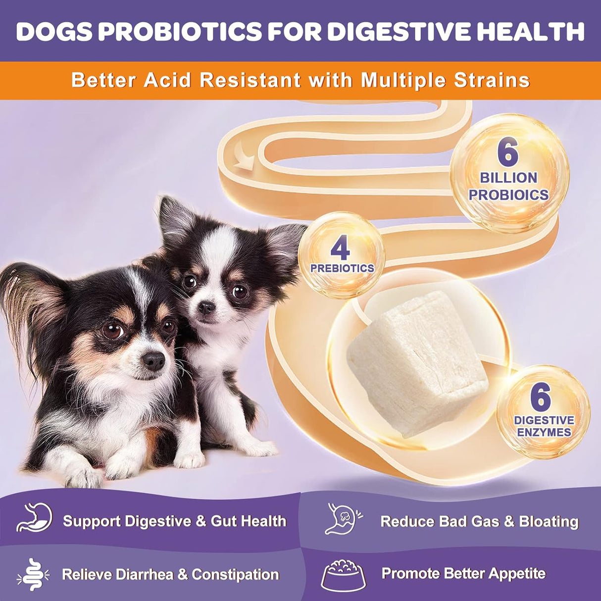 Nature Target Probiotics for Dogs 6 Billion CFUs 120 Masticables