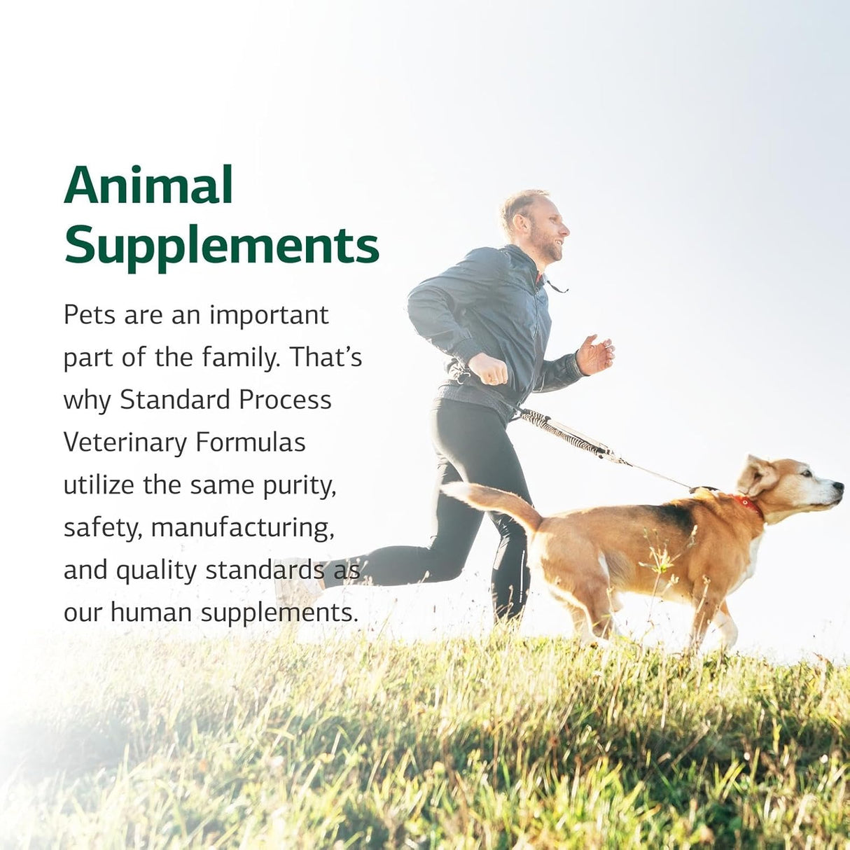 Standard Process Inc. Feline Cardiac Support 90 Tabletas