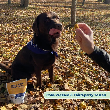 JOPE - Jope Hip and Joint Dog Chews with UC-II Collagen 60 Masticables - The Red Vitamin MX - Cuidado De Cadera Y Articulaciones Para Perros - {{ shop.shopifyCountryName }}
