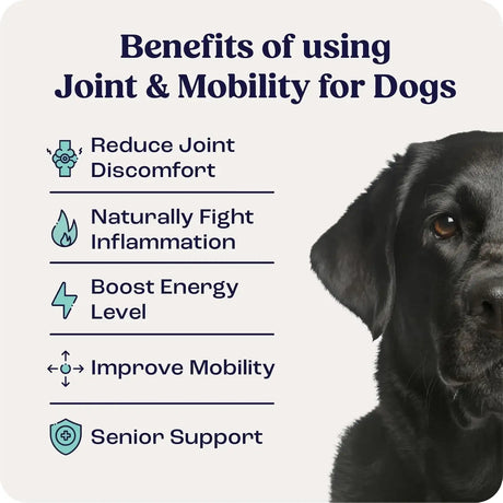 SUMMIT - Summit Canine Joint and Mobility Supplement for Large Dogs 16Ml. - The Red Vitamin MX - Cuidado De Cadera Y Articulaciones Para Perros - {{ shop.shopifyCountryName }}