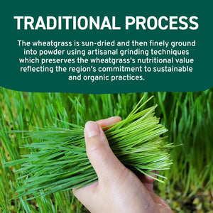 HANDPICK - HANDPICK USDA Organic Wheatgrass Powder 283Gr. - The Red Vitamin MX - Suplementos Alimenticios - {{ shop.shopifyCountryName }}