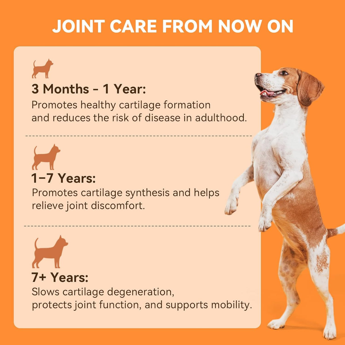PUAINTA Dog Hip and Joint Supplement 30 Masticables