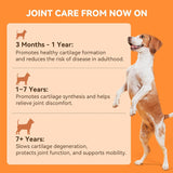 PUAINTA Dog Hip and Joint Supplement 30 Masticables